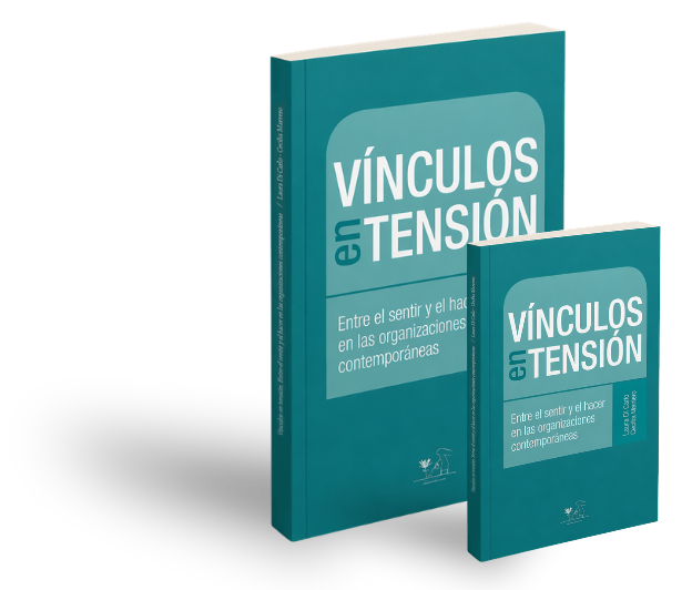 vinculos en tension libro cecilia marrero